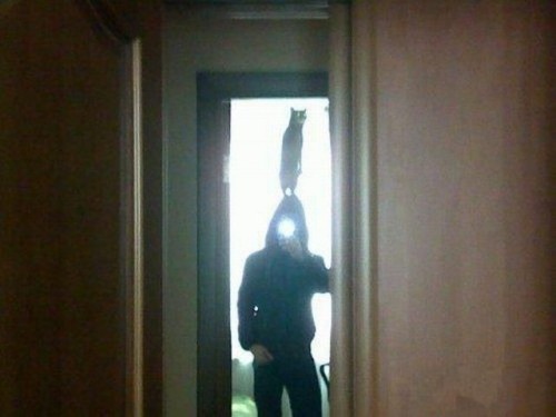 hornoxe.com_picdump138_090