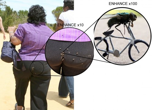 hornoxe.com_picdump138_122