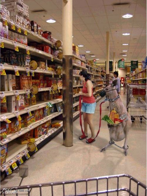 hornoxe.com_picdump139_022