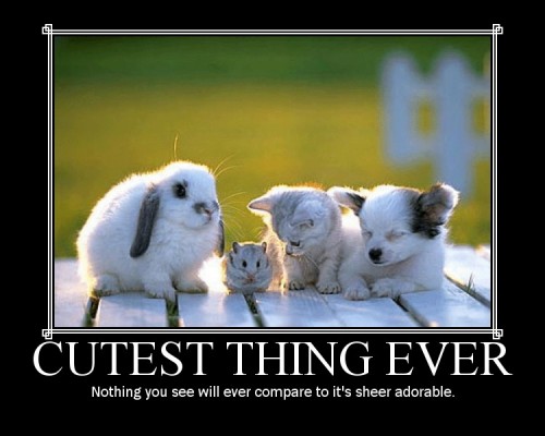 hornoxe.com_picdump139_027