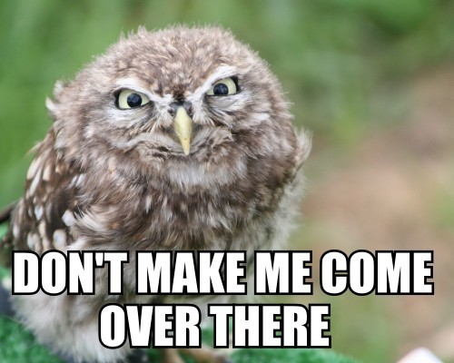 hornoxe.com_picdump139_087