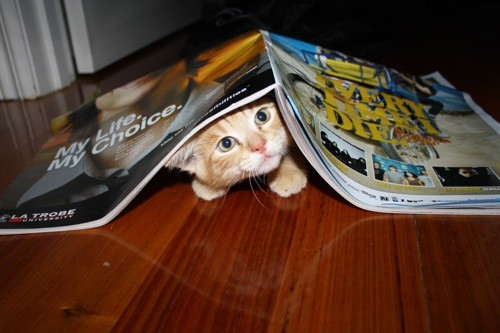 hornoxe.com_picdump140_022