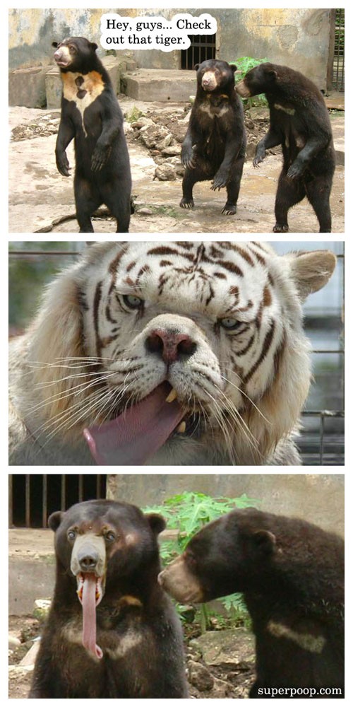 hornoxe.com_picdump140_078