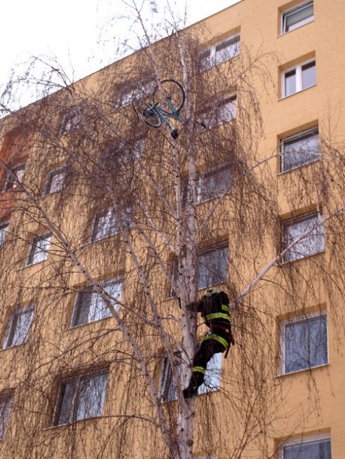 hornoxe.com_picdump140_096