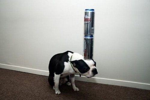 hornoxe.com_picdump140_123