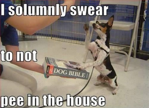 hornoxe.com_picdump140_127