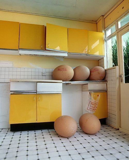 hornoxe.com_picdump140_139