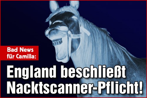 hornoxe.com_picdump141_003