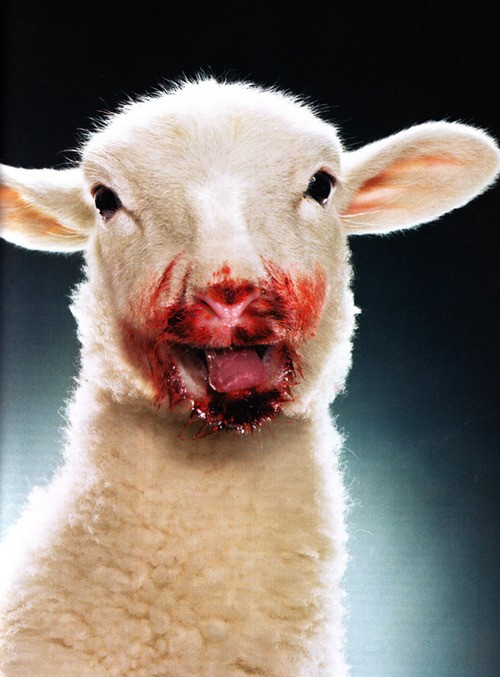 hornoxe.com_picdump141_011