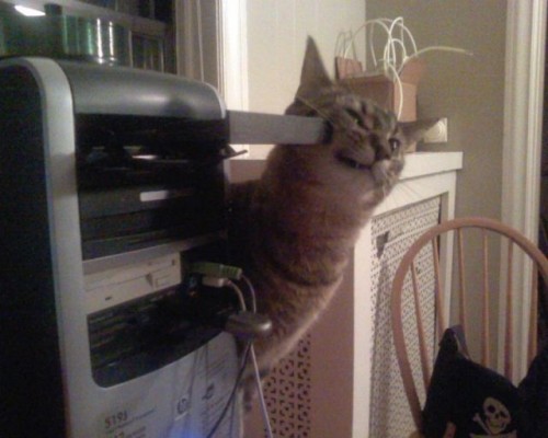 hornoxe.com_picdump141_107