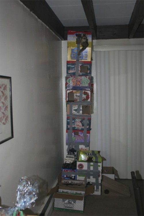 hornoxe.com_picdump141_112