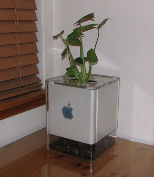 hornoxe.com_picdump141_115