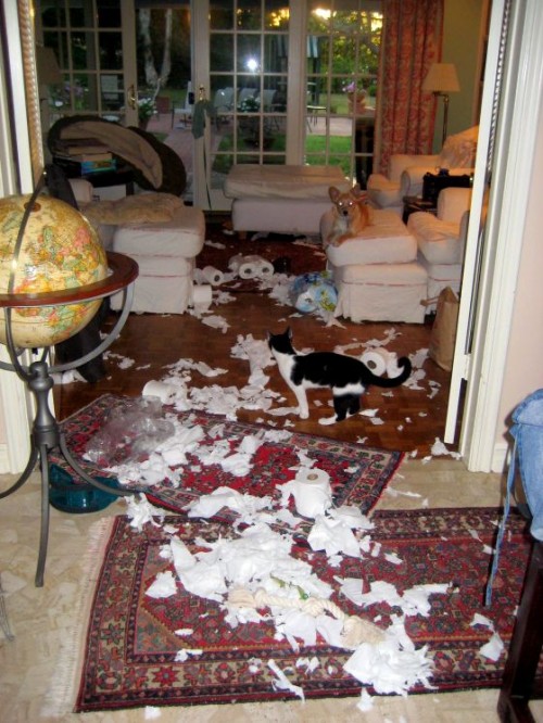 hornoxe.com_picdump141_117