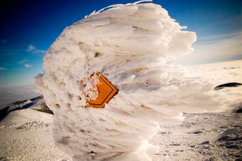 hornoxe.com_picdump142_035