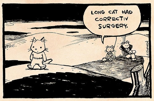 hornoxe.com_picdump142_053