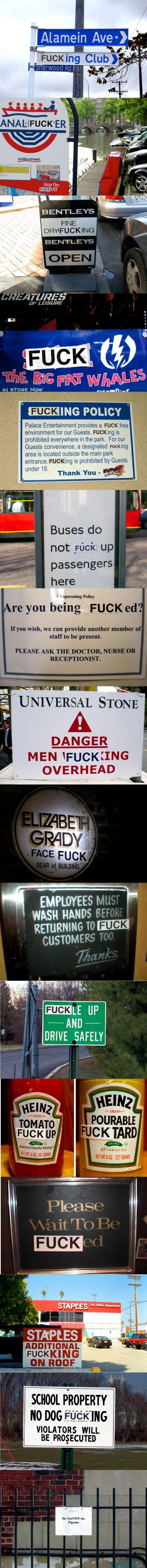 hornoxe.com_picdump144_007