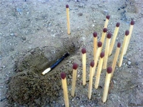 hornoxe.com_picdump144_014