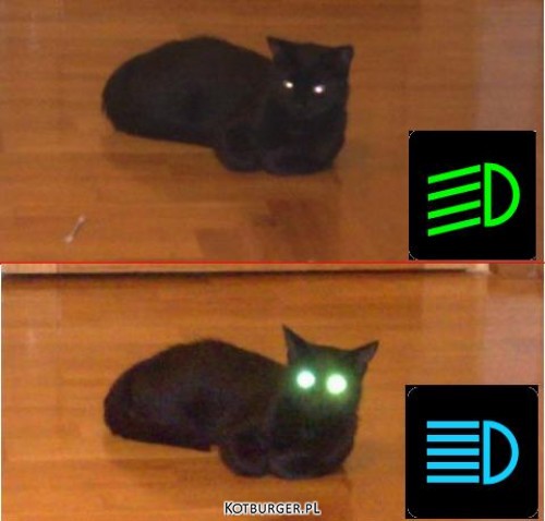 hornoxe.com_picdump144_053