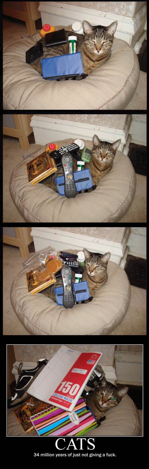 hornoxe.com_picdump144_069