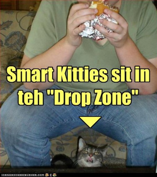 hornoxe.com_picdump144_092