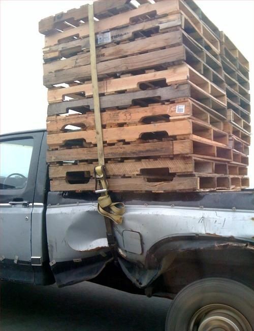 hornoxe.com_picdump144_113