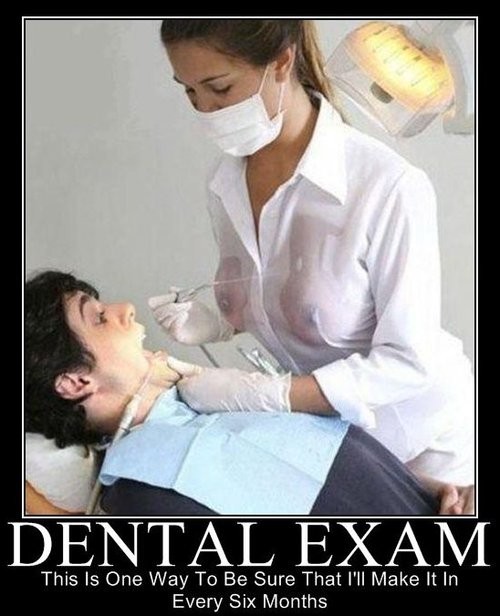 hornoxecom_picdump144_137