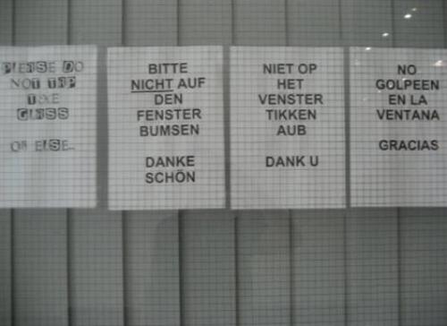 hornoxe.com_picdump147_002