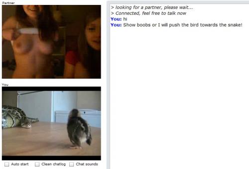 hornoxe.com_picdump147_015