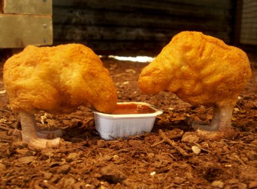 hornoxe.com_picdump147_016