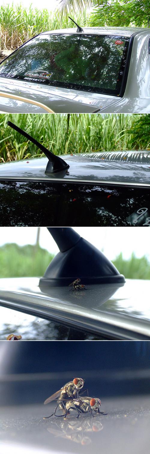 hornoxe.com_picdump147_027