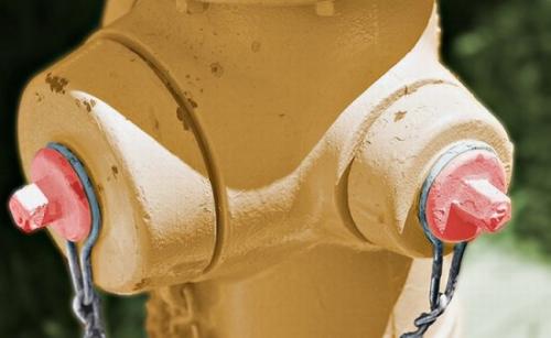 hornoxe.com_picdump147_048