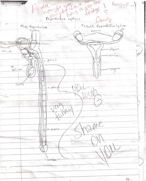 hornoxe.com_picdump147_049