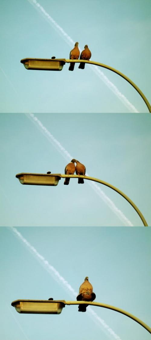 hornoxe.com_picdump147_058