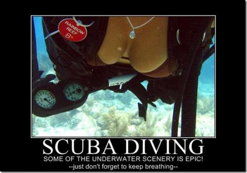 hornoxe.com_picdump147_085