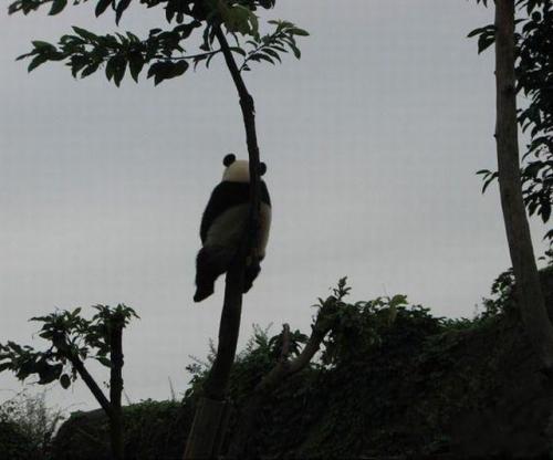 hornoxe.com_picdump147_125