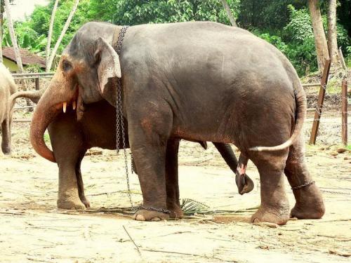 hornoxe.com_picdump148_004