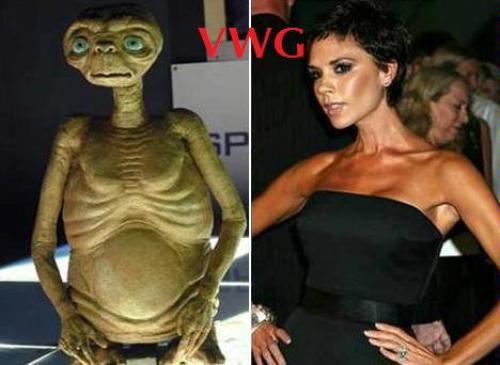 hornoxe.com_picdump148_074