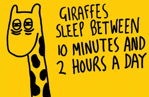 hornoxe.com_picdump148_078