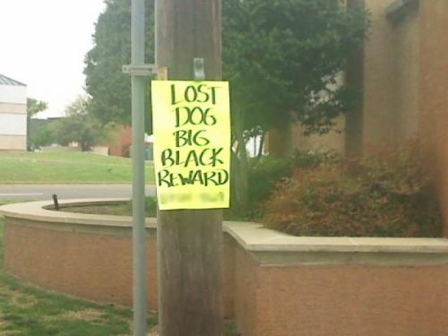 hornoxe.com_picdump149_28