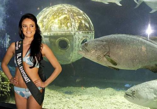 hornoxe.com_picdump149_73