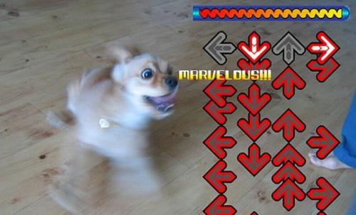 hornoxe.com_picdump149_78