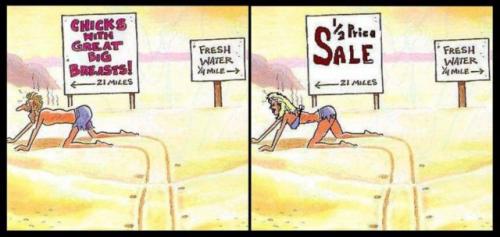 hornoxe.com_picdump149_81