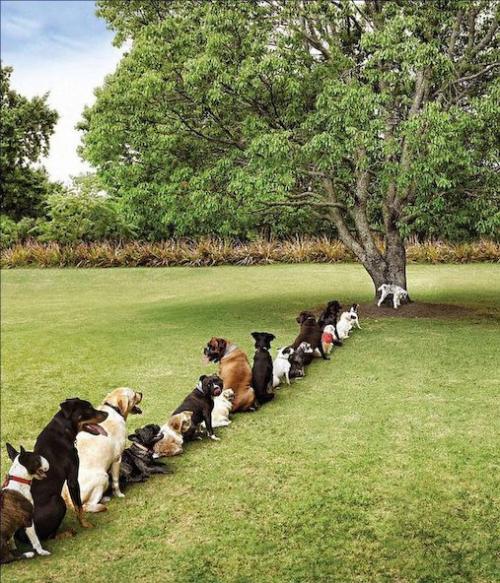 hornoxe.com_picdump149_88