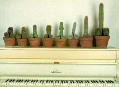 hornoxe.com_picdump150_005