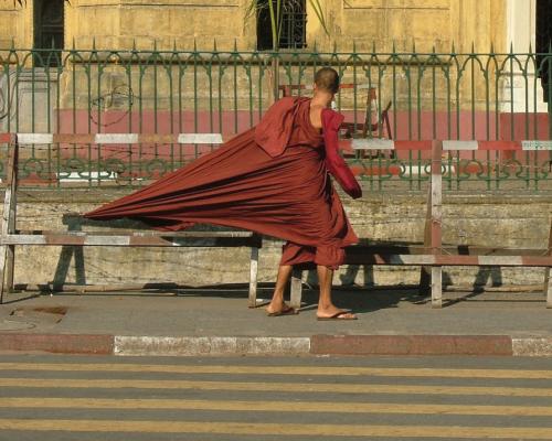 hornoxe.com_picdump150_022