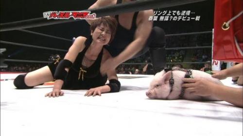 hornoxe.com_picdump150_068