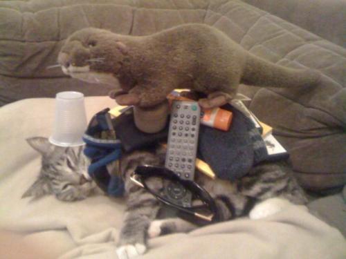 hornoxe.com_picdump150_095