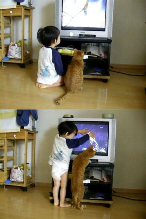 hornoxe.com_picdump150_102