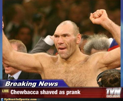 hornoxe.com_picdump151_003