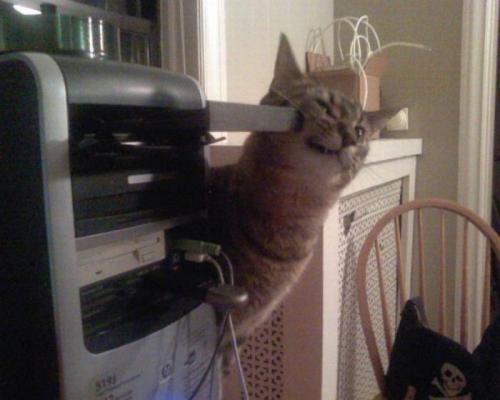 hornoxe.com_picdump151_007